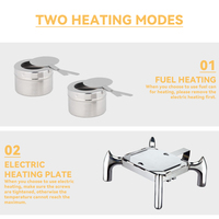 Plat à chafing en acier inoxydable facile à nettoyer avec chauffage électrique, capacité 9L, couleur argent, pour usage en cuisine