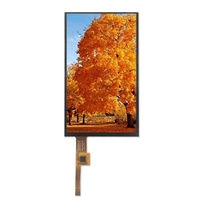 Mini lcd personnalisé 5 pouces 480x854 40PIN RGB IPS 5 pouces écran tactile carte pilote écran tft lcd module lcd 5 pouces