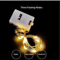 Mini-lumières LED féériques, guirlandes lumineuses clignotantes, bandes lumineuses ciel étoilé en PVC, à intensité variable, alimentées par USB/piles, pour décorer les ballons