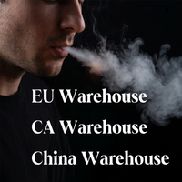 Briquets personnalisés en gros avec logo, briquets rechargeables pour cigarettes, usine chinoise