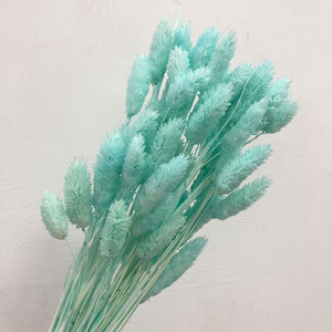 Venta al por mayor de alta calidad flor preservada piedras preciosas hierba seca <span class=keywords><strong>Phalaris</strong></span> para decoración del hogar DIY boda - Product Image 3