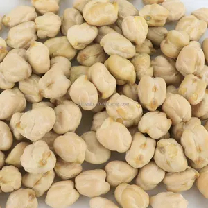 High Quality Garbanzo White Dried Chick Peas Kabuli Chickpeas