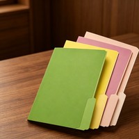 Carpeta de Papel Manila de Alta Calidad con Logotipo Personalizado, Color de Superficie AB, para Clasificación, Archivo e Indexación, Venta al Por Mayor