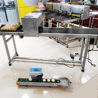 Machine d'impression sur œufs de fabrication chinoise / Imprimante de date sur œufs / Imprimante à jet d'encre durable pour œufs à vendre