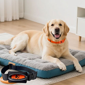 Monitoraggio Avanzato e Intelligente IP67 Impermeabile 4G in Tempo Reale per Attività di Cani, Gatti e Altri Animali Domestici - Product Image 4