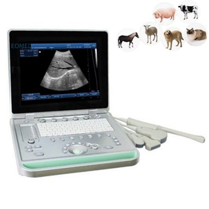 Échographe vétérinaire portable professionnel de 15 pouces pour animaux, modèle BW09vet - Product Image 1