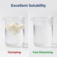 Poudre de protéines d'œuf de qualité supérieure en vrac, pasteurisée, riche en protéines, sans produits laitiers, sans lactose, alternative au lactosérum, pour la nutrition sportive