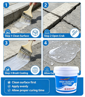 Enduit liquide transparent et imperméable en acrylique pur avec pinceau pour la réparation invisible des fuites, idéal pour les fissures des carreaux de salle de bain, des toits et des murs.