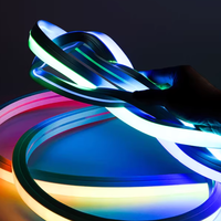 Bande lumineuse souple LED en silicone multicolore pour la publicité extérieure, avec effet lumineux et atmosphérique