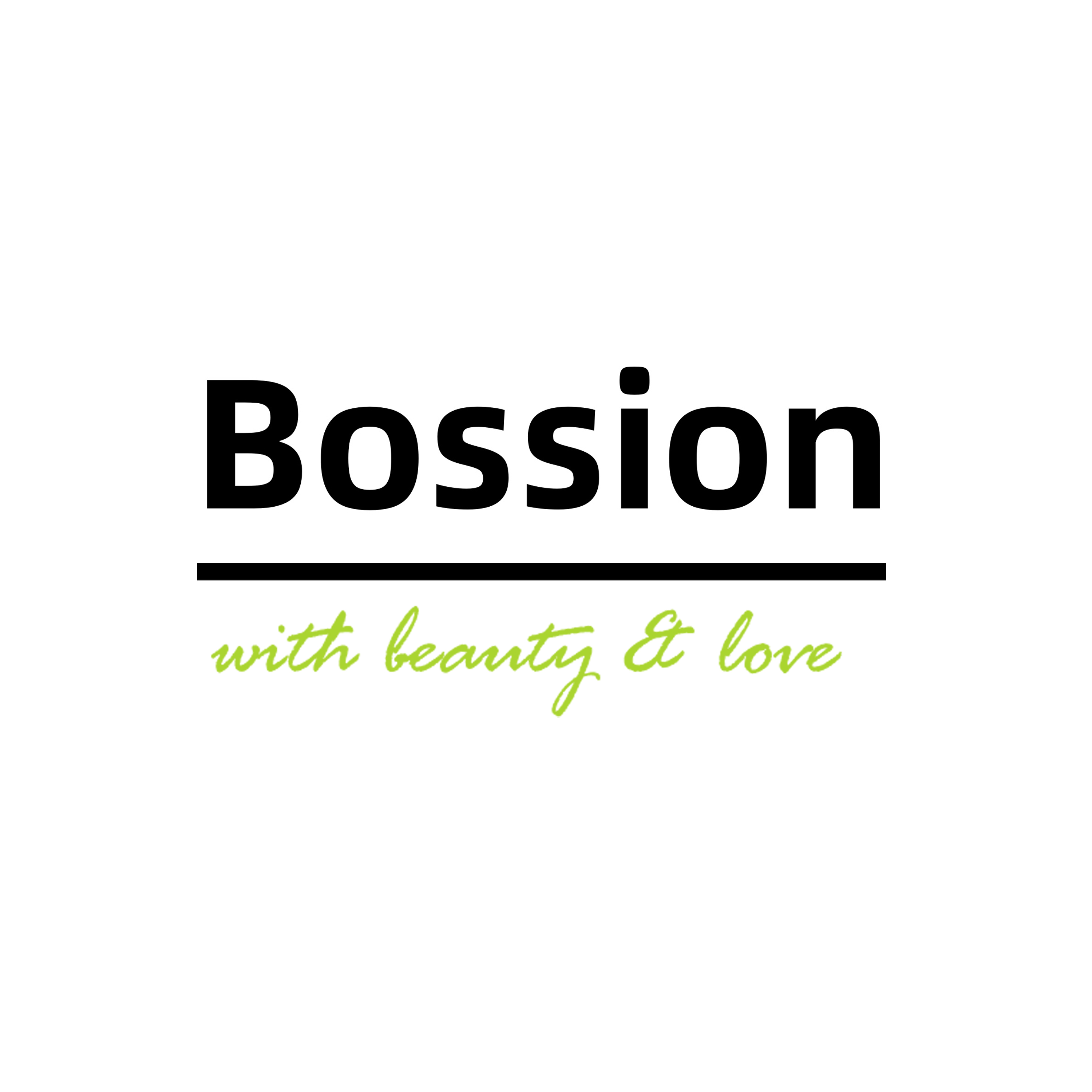Dongguan Bossion Crafts Co., Ltd. logo