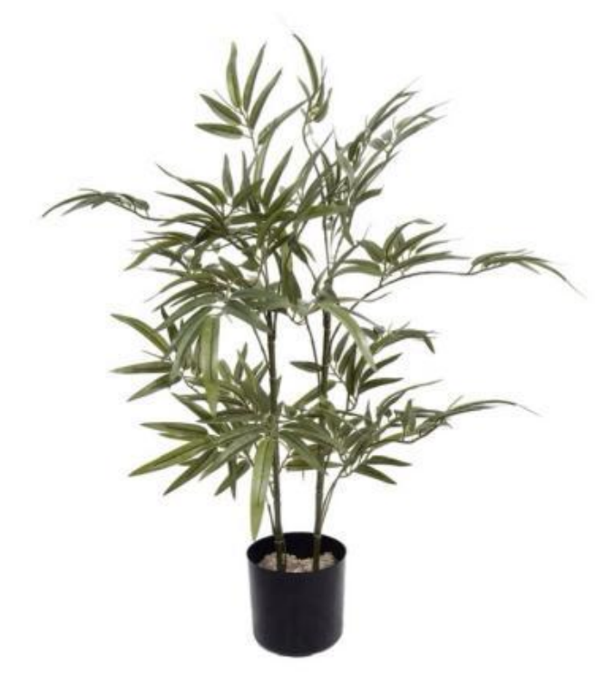 Bambou arbre 90cm