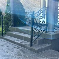 Éléments décoratifs en acier forgé sur mesure en gros pour escaliers, rampes, portails, portes, ornements écologiques