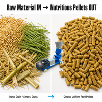 Machine à granulés d'aliments pour animaux électriques et diesel, équipement de granulation d'aliments pour bétail et volailles