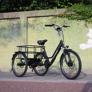 Vélo <span class=keywords><strong>électrique</strong></span> longue portée Trike adulte 36v vélo cargo <span class=keywords><strong>électrique</strong></span> <span class=keywords><strong>avec</strong></span> <span class=keywords><strong>toit</strong></span> 250w Tricycle <span class=keywords><strong>électrique</strong></span> bas prix - Product Image 4