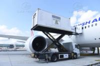 Camion de restauration aéroportuaire électrique de taille compacte adapté aux jets d'affaires et aux avions privés
