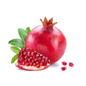 Manufacturer Provides Electrolyte Pomegranate Instant Powder Drink Concentrate Juice Fruit Flavoured Drinks
