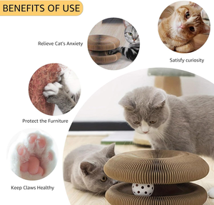 แผ่นข่วนแมวแบบมีลูกบอลในตัว Magic Organ Cat Scratcher Board ของเล่นแมวในร่ม ช่วยเสริมสร้างพัฒนาการทางจิตและร่างกายอย่างเต็มรูปแบบ - Product Image 3