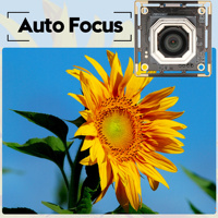ELP 5MP 30FPS modul kamera USB fokus otomatis IMX335 modul Webcam CMOS warna tertanam dengan tanpa lensa distorsi untuk PC Raspberry PI