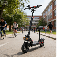 Trottinette électrique pour adultes de 800 watts et 48 volts, fabriquée en acier au carbone et en alliage d'aluminium, adaptée à la conduite en ville et en montagne.