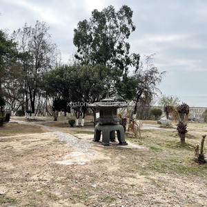 Statue en granit naturel de jardin de Type japonais, grandes lanternes en pierre, ornements de pagode <span class=keywords><strong>Yukimi</strong></span> - Product Image 3