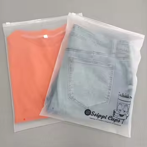 マットプリントカスタムポリジッパーロックつや消しプラスチック包装用ジッパー衣服包装袋にロゴ付きエヴァ - Product Image 1