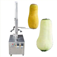Ananas Schilmachine Wintermeloen Papaya Watermeloen Schiller met Motor voor Fruit & Groenten 380V