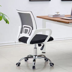 Modern Design Office Chair with Mesh Nylon <strong>Casters</strong> Swivel Lift <strong>Adjustable</strong> Height Armrest and Lumbar Support-New Arrival - Product Image 6