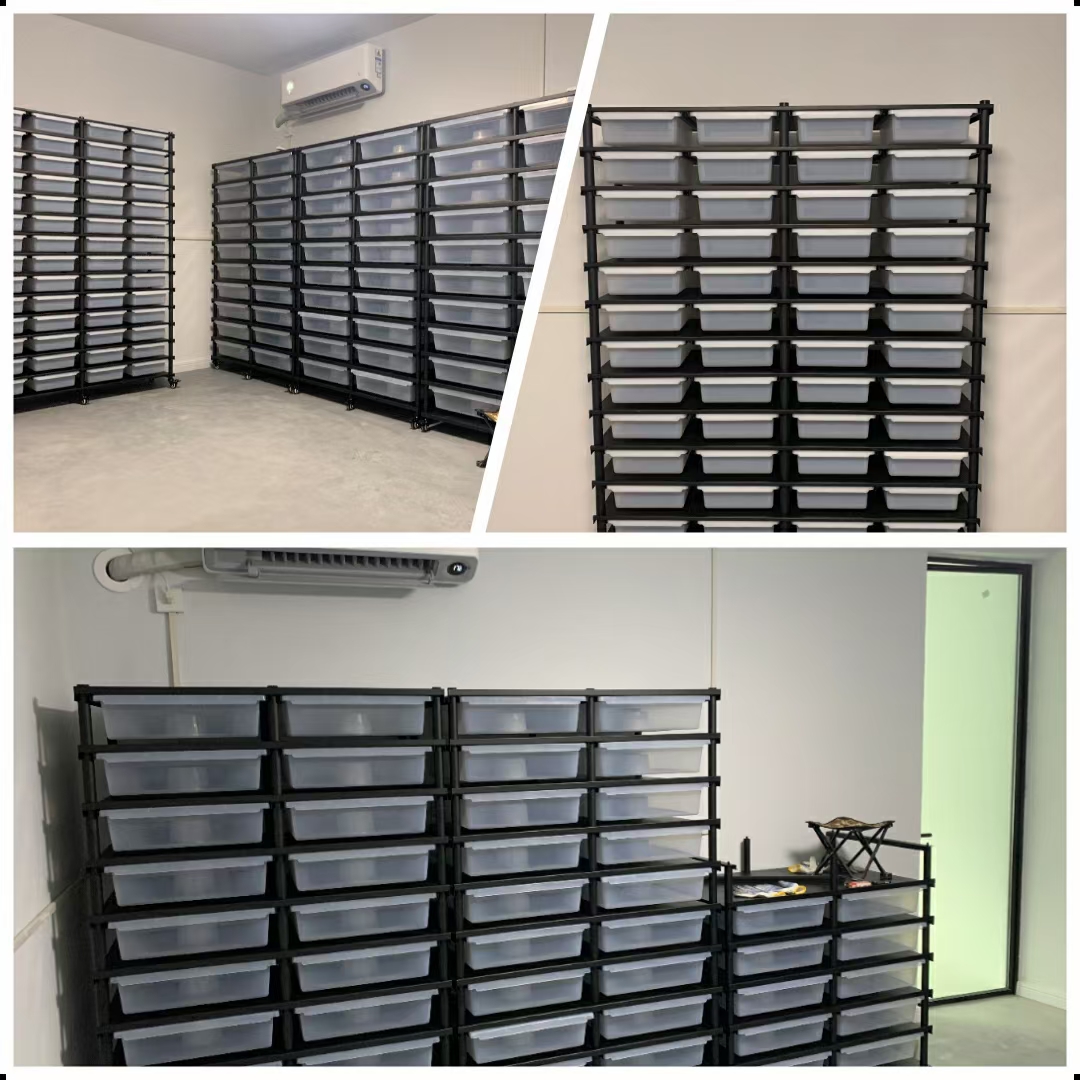 高品質snake rack。快適なペット環境のためのソリューション。