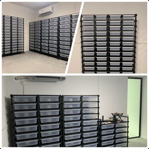 爬虫類ラックファクトリーの中国語プレイヤー, Alibaba.comで1番人気の