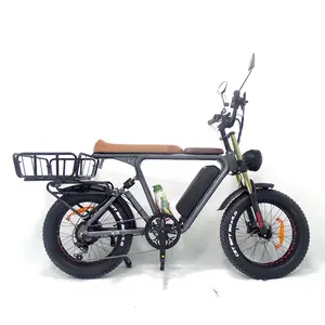 20 Zoll Fat Tire Food Bike Offroad Elektro 1000W 20Ah Batterie Cargo Bike Family Fahrrad 2022