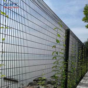 Tlwy Trung Quốc Nhà Máy Thân Thiện Với Môi Cuộn Top Tam Giác Uốn Hàng Rào Kim Loại Dây Lưới PVC & Mạ Kẽm Cuộn Hàng Rào Hàng Đầu Tấm <span class=keywords><strong>Brc</strong></span> Hàng Rào - Product Image 2