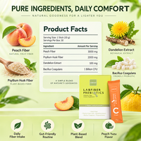 Bâtonnets de poudre de fibres prébiotiques à marque privée avec Psyllium Husk, Fibre de pêche, Bacillus Coagulans – Complément quotidien de fibres OEM ODM