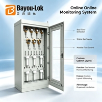 Système de prélèvement de gaz multi-canaux en ligne OEM Bayou-LOk, armoire de surveillance de débit, aménagement sur mesure, gaz spécial de laboratoire