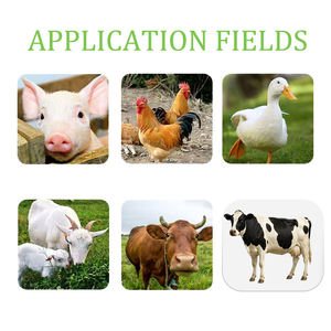 FARMJEWEL Aditivo Alimentario <span class=keywords><strong>de</strong></span> Butirato <span class=keywords><strong>de</strong></span> Sodio (CAS 57-13-6) para Ganado y Aves <span class=keywords><strong>de</strong></span> Corral, Estabilizador <span class=keywords><strong>de</strong></span> <span class=keywords><strong>la</strong></span> <span class=keywords><strong>Flora</strong></span> <span class=keywords><strong>Intestinal</strong></span> para Mejorar <span class=keywords><strong>la</strong></span> Salud <span class=keywords><strong>Intestinal</strong></span> - Product Image 4