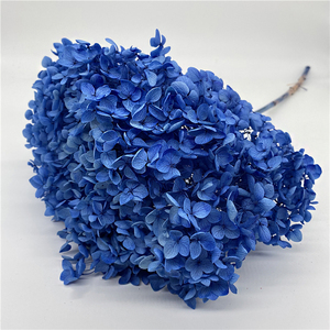 Hot Sale High Quality Room Wall Decoration Valentine's Day Preserved <strong>Hydrangea</strong> with Stem <strong>Artificial</strong> <strong>Hydrangea</strong> Flower - Product Image 3