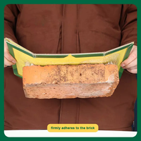 Piège à souris en carton StateGreen, plaque de colle super adhésive, durable, non toxique, attrape-rats pliable, tueur de souris, adhésif collant