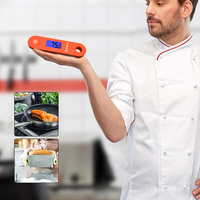 Thermomètre numérique étanche IP68 Lonnmeter à batterie rechargeable, pliable à 180 degrés, pour four, barbecue et cuisson de la viande