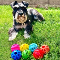 Distributeur de friandises avec logo personnalisé, jouet interactif pour chien, durable, sans BPA, en silicone de qualité alimentaire, balles à mâcher rebondissantes pour animaux de compagnie
