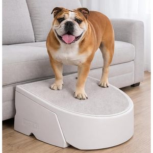 Pet Gear ทางลาดสำหรับสุนัข รุ่น Oval Sea Salt ขนาด 22x20x10 นิ้ว น้ำหนักเบา พกพาสะดวก แข็งแรง ประกอบง่าย ไม่ต้องใช้เครื่องมือ - Product Image 1