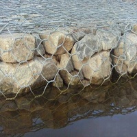 Caisse de gabion galvanisée robuste en treillis métallique à double torsion pour la protection des berges fluviales