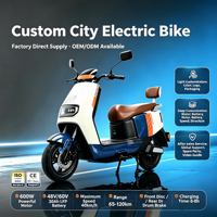 Bicicleta Eléctrica de Aluminio de Largo Alcance Directo de Fábrica, Servicios OEM/ODM, Logotipos, Colores y Embalaje Personalizables, Bicicleta Urbana para Adultos