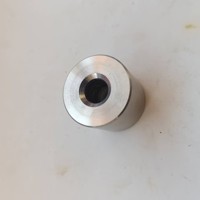 Stainless Steel 304 Spacer Rivet Fasteners Polished Finish 42mm Length for Indoor/Outdoor Applications