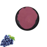 Extrait de raisin naturel de haute qualité, 10g, poudre de fruits de raisin