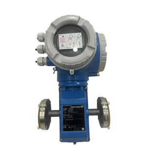 E + h endress + havuser promag p מרובים ממשק תמיכה: תיאור פרמטר Hart - Product Image 2