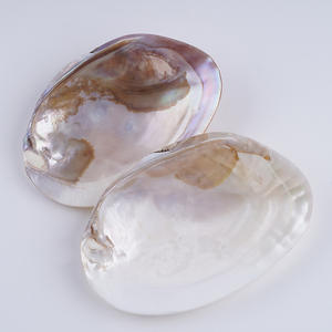 Perles de culture d'eau douce naturelles de 13-14 mm, forme de pièce de monnaie baroque, bouton, trou traversant, bricolage, collier, perles en vrac, vente en gros - Product Image 3