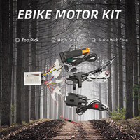 Contrôleur de moteur électrique à balais L-faster 24V 350W-800W pour vélo électrique et trottinette avec accélérateur à pouce, batterie au lithium et écran LCD