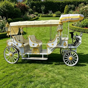 Carruaje Eléctrico de Lujo Blanco y Dorado con Toldo para Bodas, Turismo y Transporte de Turistas - Product Image 2
