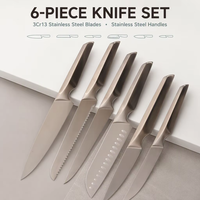 Ensemble de couteaux de Chef, couverts de cuisine revêtu de haute qualité couteau de Chef en acier inoxydable, ensemble de couteaux de cuisine de 6 pièces