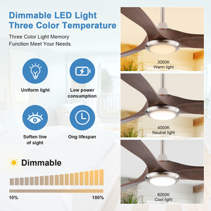 Chất Lượng Cao ABS Hoặc Rắn Gỗ 3 Lưỡi 42 Inch 52 Inch 60 Inch Hiện Đại Câm BLDC Quạt Trần Với Điều Khiển Từ Xa - Product Image 6