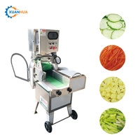 Rapid Suikerbieten Slicer Groente Verwerking Verpletterende Fruit Snijmachine